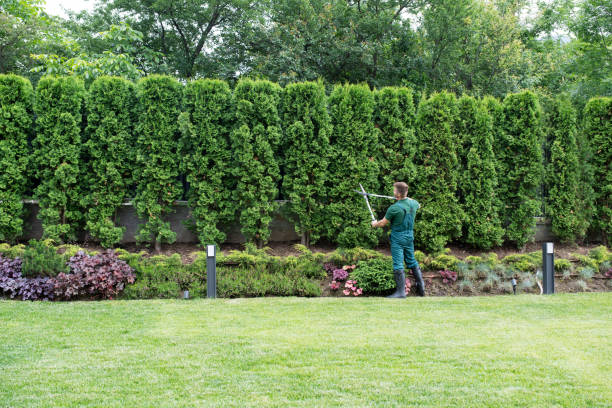 Mystic Island, NJ Tree Removal Company